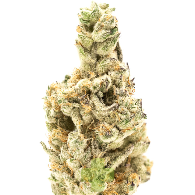 UpNorth — Strawberry Cough
