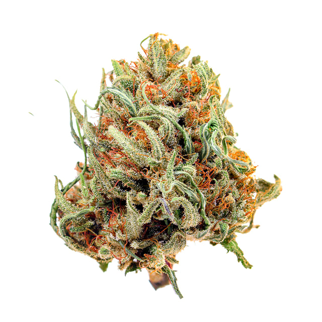 ROSE QUEEN 20:1 CBD