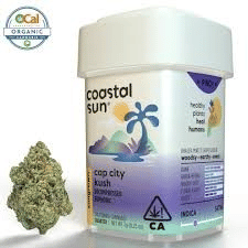 Coastal Sun: Cap City Kush