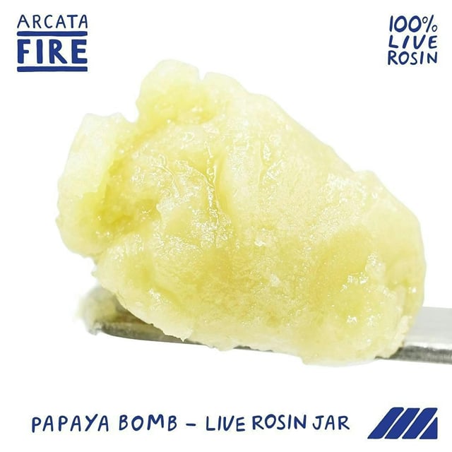 Papaya Bomb | Live Rosin | (1g)