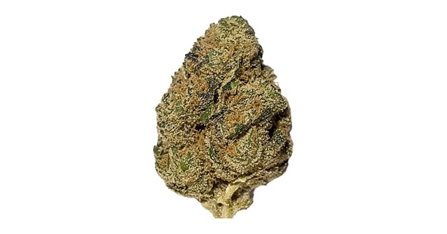 Applescotti | 3.5g