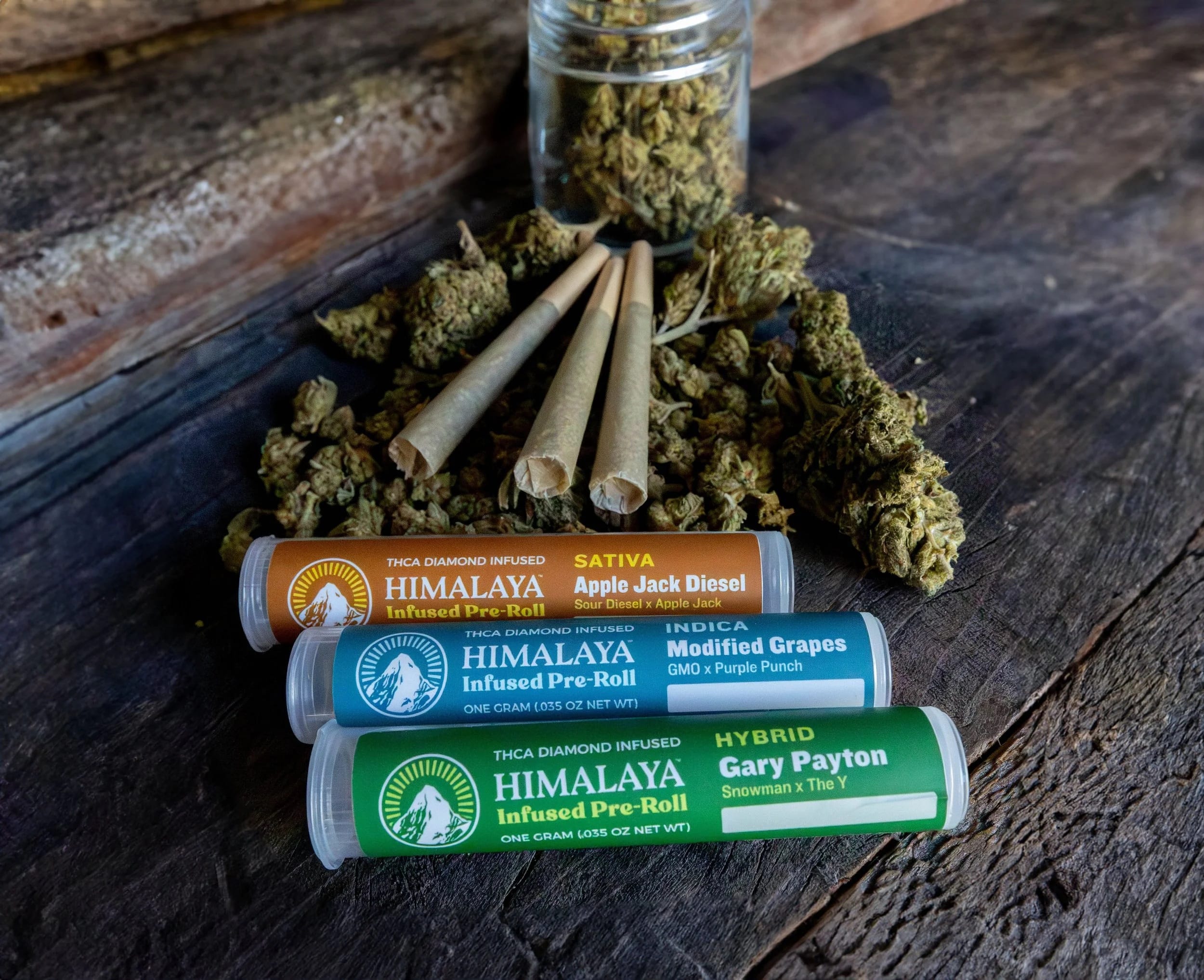 Himalaya — Lemon Pluot
