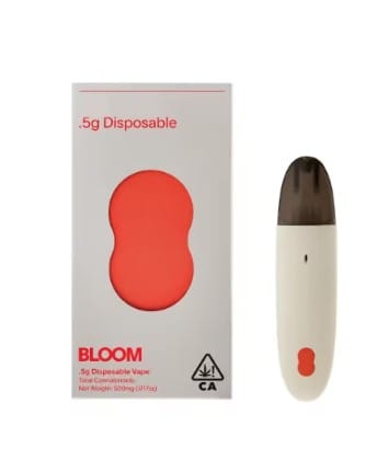 BLOOM — Guava Belts - Surf