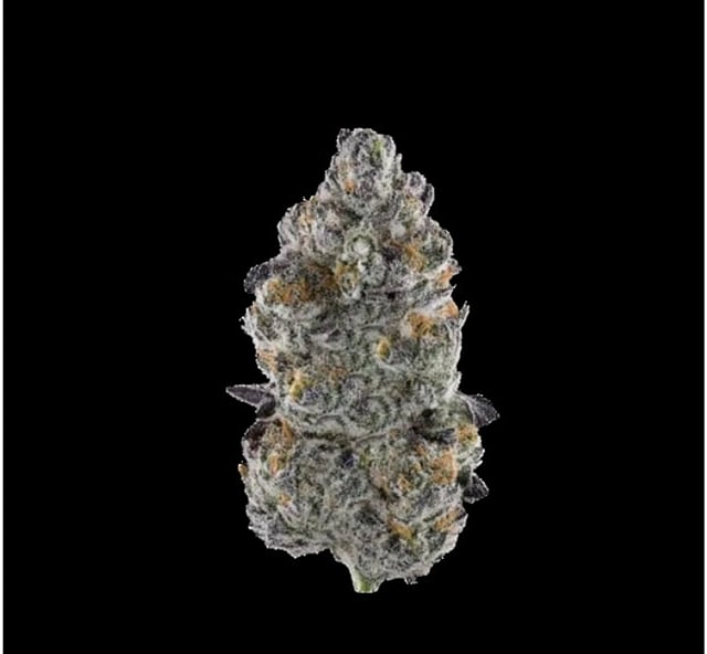 7g MOB (INDOOR)