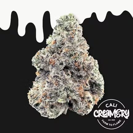Cali Creamery — Formula 1