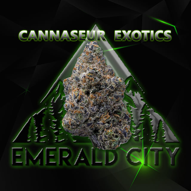 Emerald Elite - 1/8oz - Snooze Button - (Cannasieur Exotics)