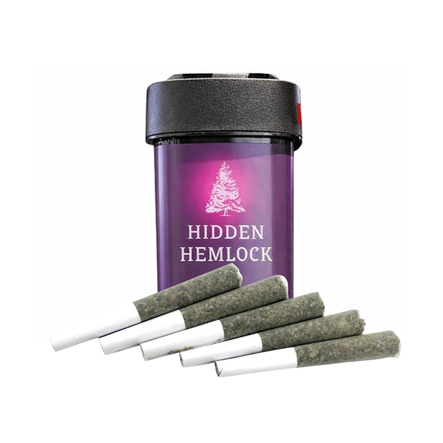 Gelato Sunset | 5 Pack