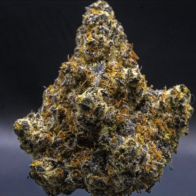 MilkWeed | Blueberry Blitz | Flower | 3.5g