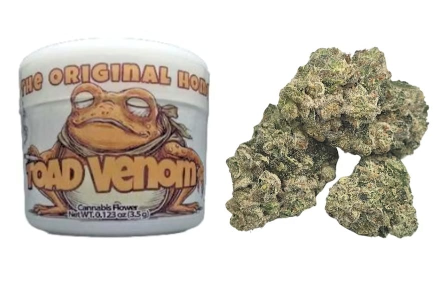 Green Dragon — Toad Venom