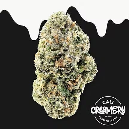 Cali Creamery — Gelato 33