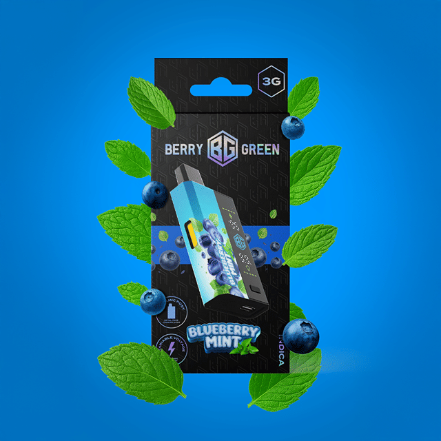 Disposable 3g - Blueberry Mint