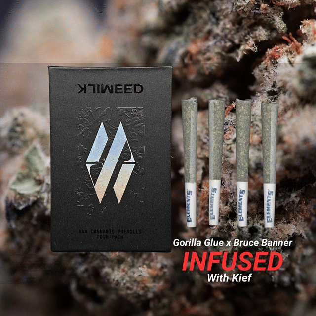 MilkWeed | Gorilla Glue x Bruce Banner | 4pk Infused Pre-Rolls | 3.0g