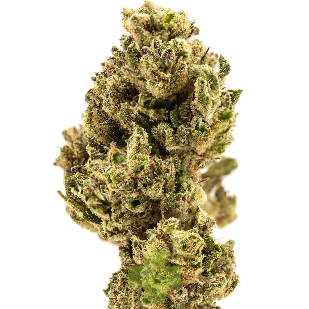 The Pairist — Pineapple Kush, Sg