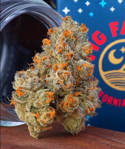 Fig Farms — Krypto Chronic #1