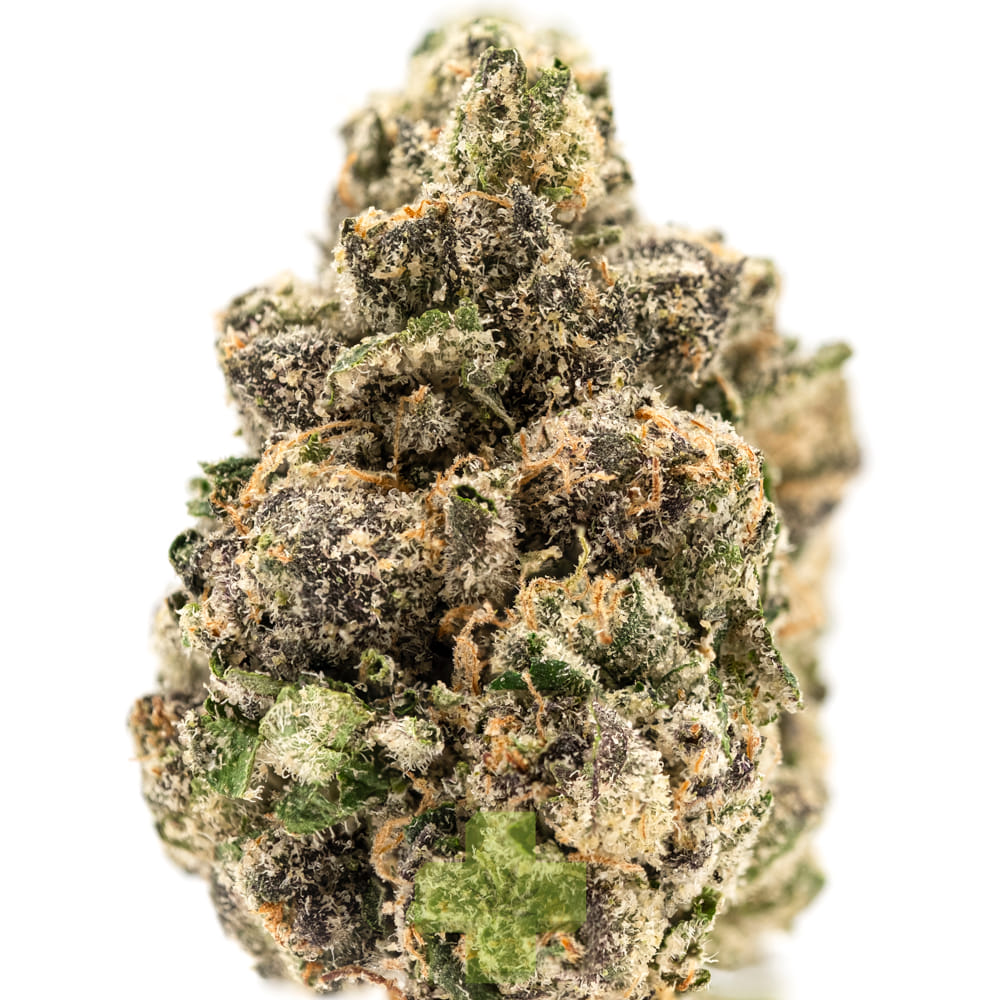 SEED JUNKY — Permanent Fumes