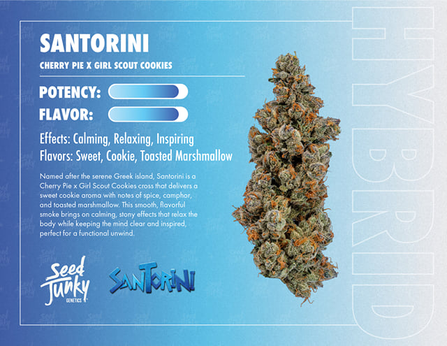 Seed Junky | 3.5g - Santorini - Hybrid