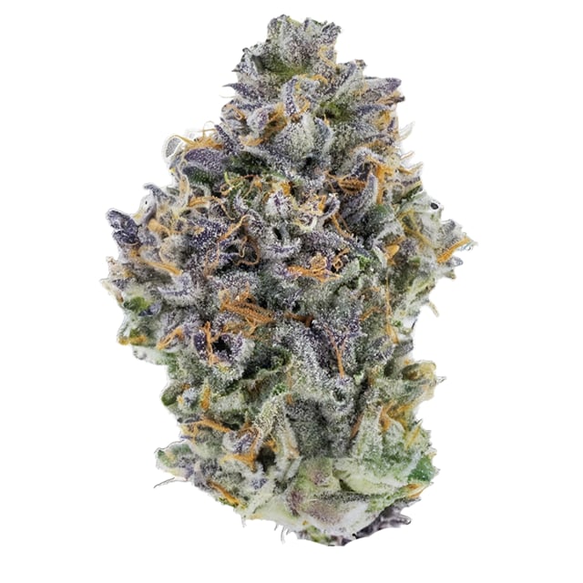 MAD DOG 64 3.5G