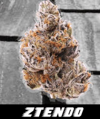 KushFace: Ztendo 3.5g
