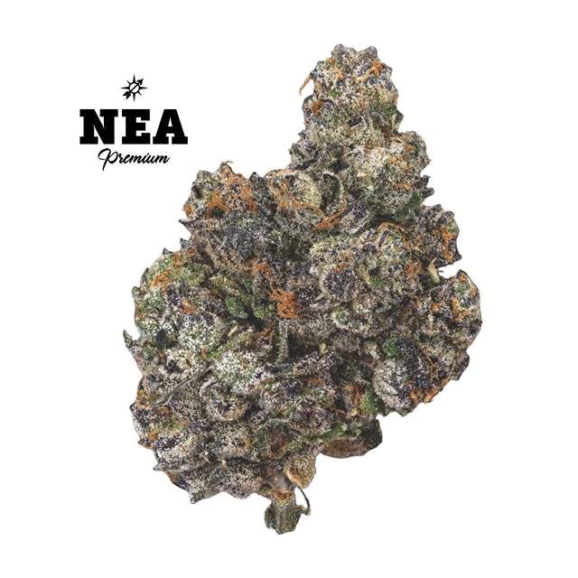 Sherb Cream Pie | Premium
