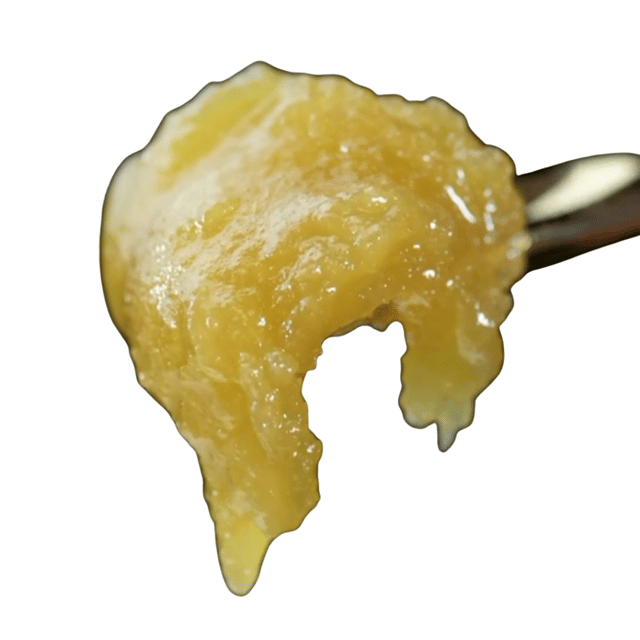 GMO x Sour Saunders/ SD Bx2 | Rosin Jam