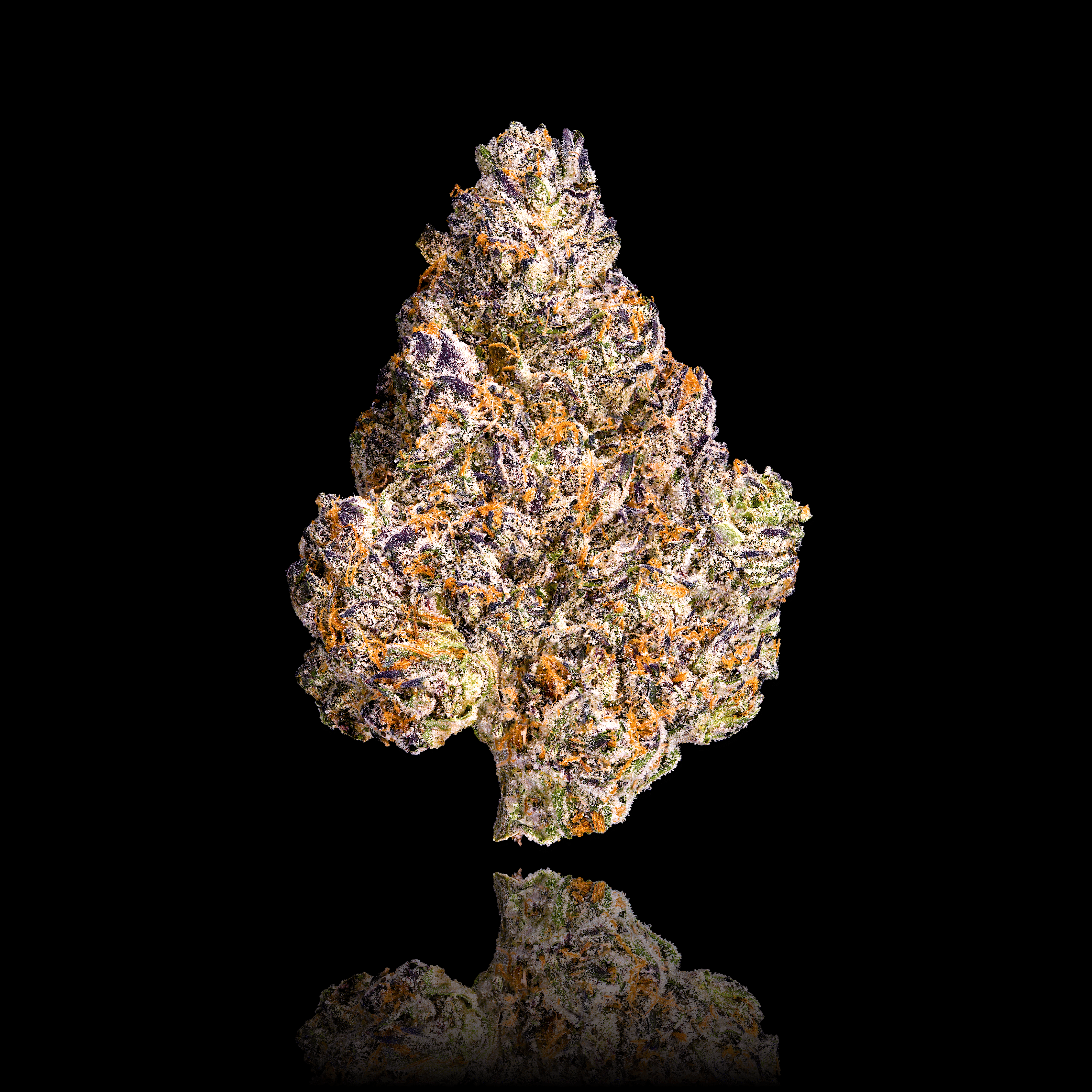 Maven Genetics — Chroma 1g flower