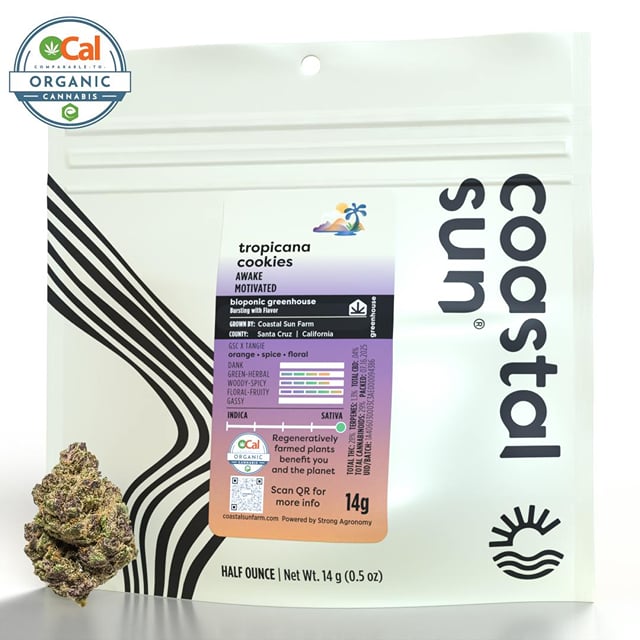 Tropicana Cherry | 14g