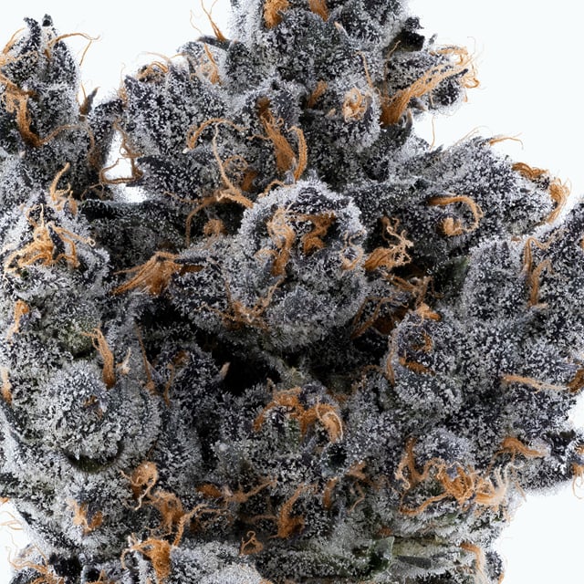 Lumpy's Flowers | Apple Fritter | 1g Pre-Roll