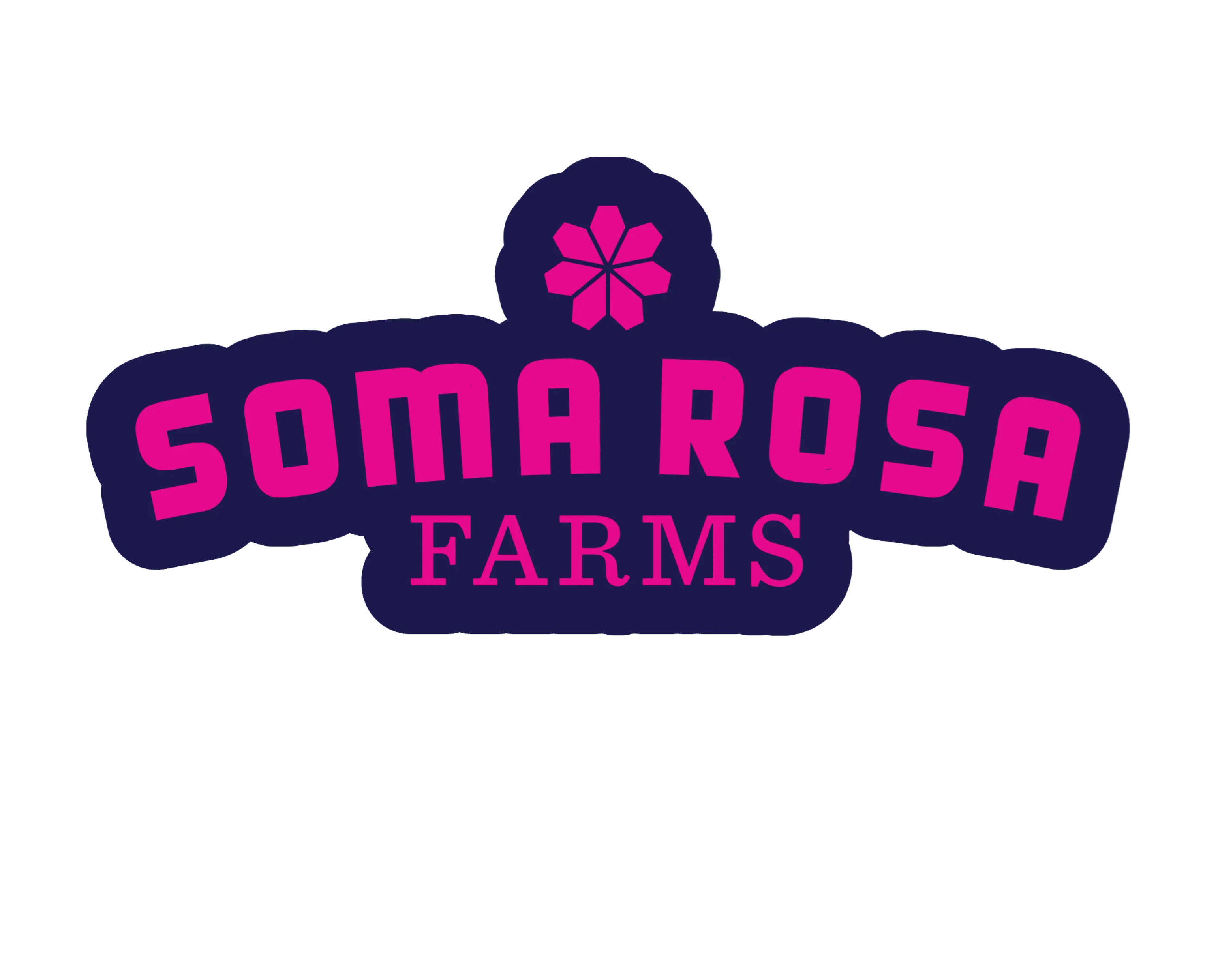 Soma Rosa — SFV X Donny Burger