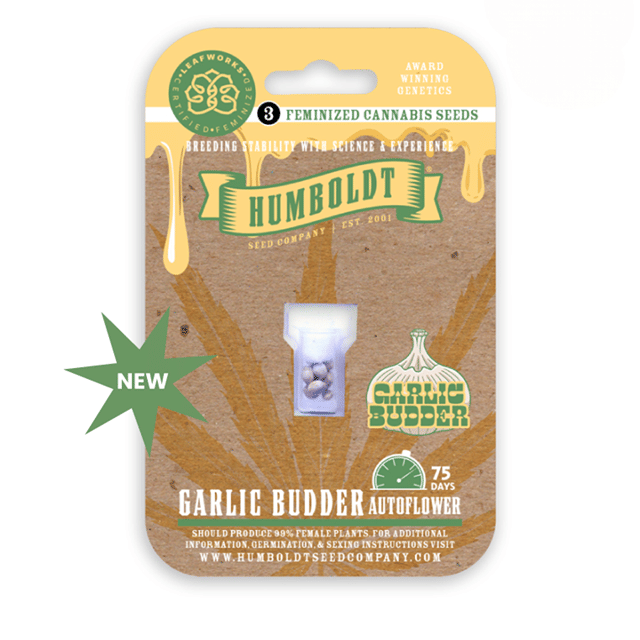 Garlic Budder Feminized Seeds 3pk