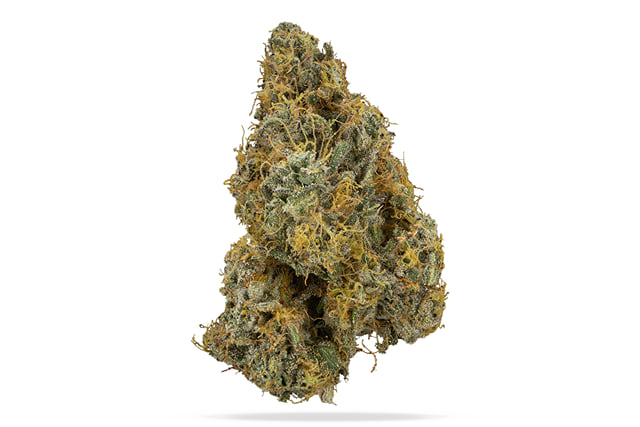 Hazel Nut Piff #8