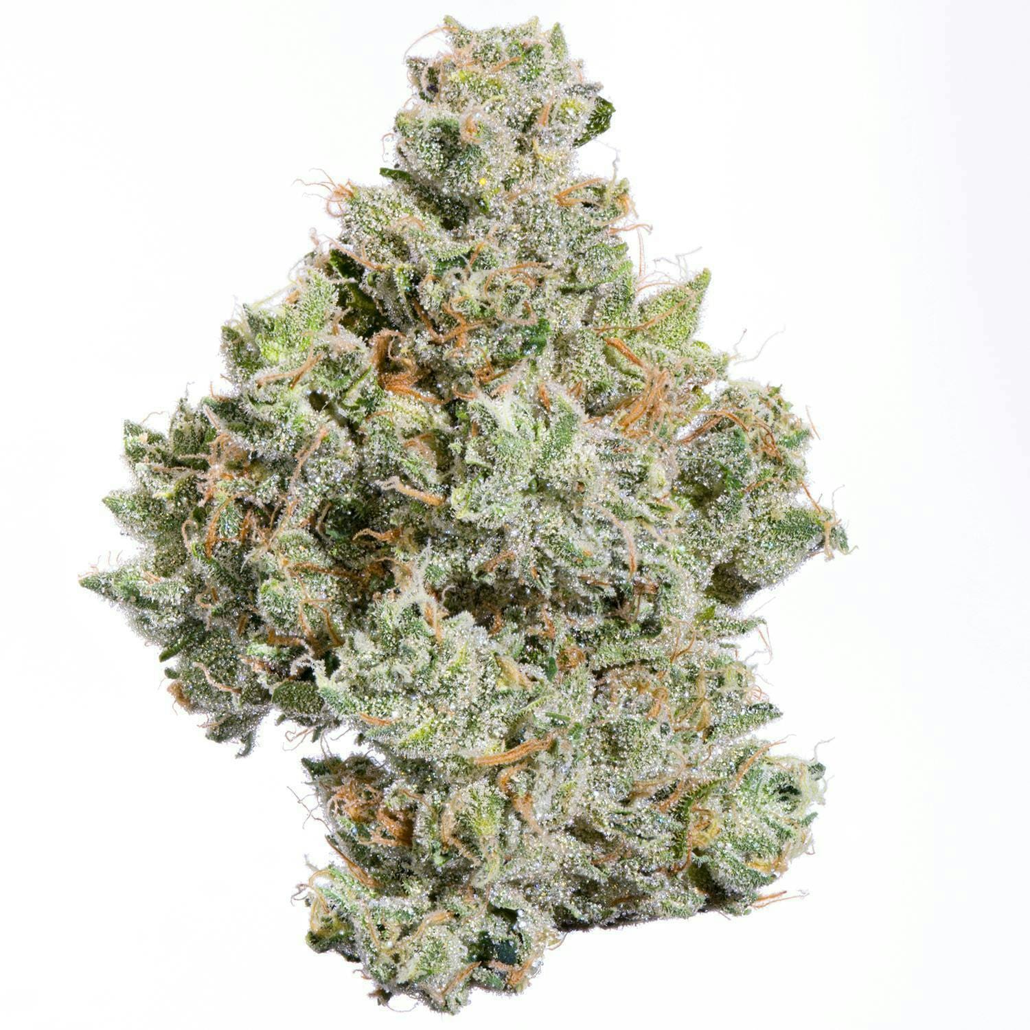 Fig Farms: Zowahh 34.26% 3.5g - Eighth