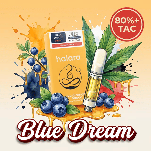 Halara — Blue Dream Live