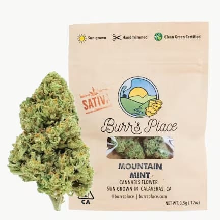 Burr's Place — Mountain Mint