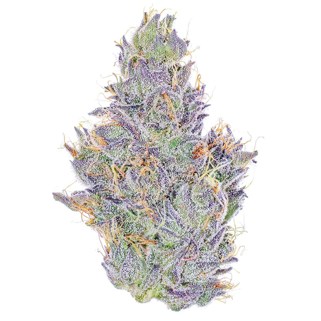 Fig Farms — Koala Crack (S)