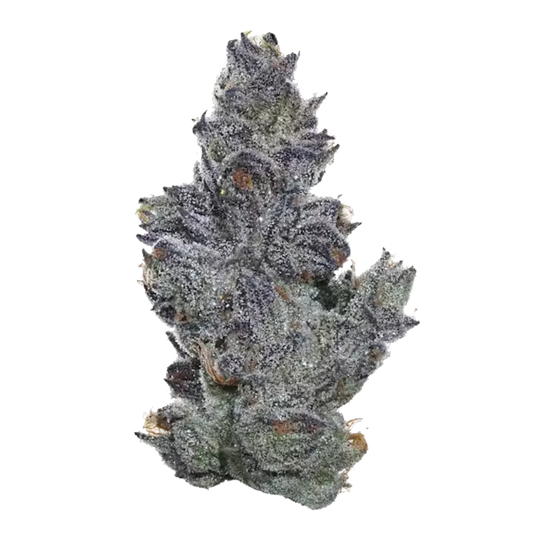 Fig Farms — Sour Cherry Pie (H)