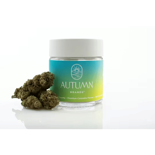 Autumn Brands — Mango Haze
