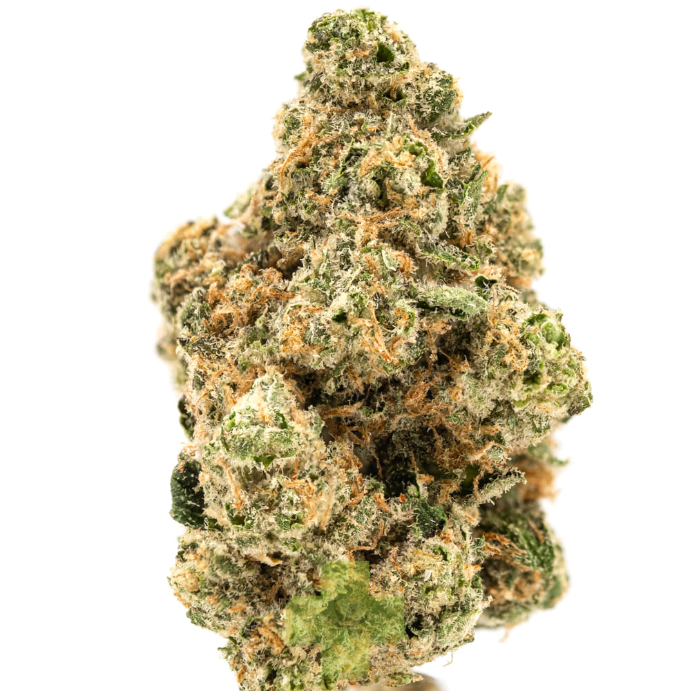 SEED JUNKY — Lemon Fruz