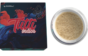 Northern Lights | 1g Live Hash