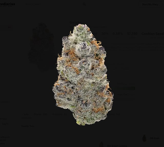 3.5g - BUBBLEGUM GUSHERS