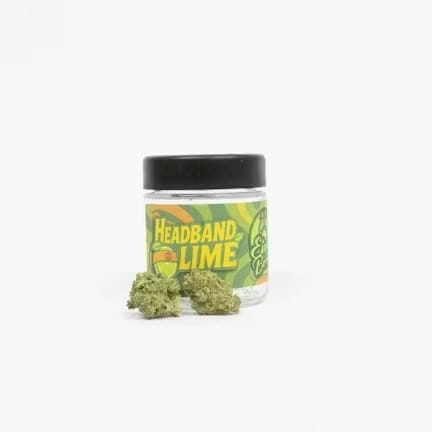 Eighth Brother — Headband Lime