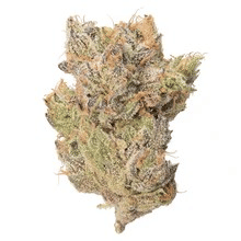 Team Elite Genetics: G. O. A. T. Cheese