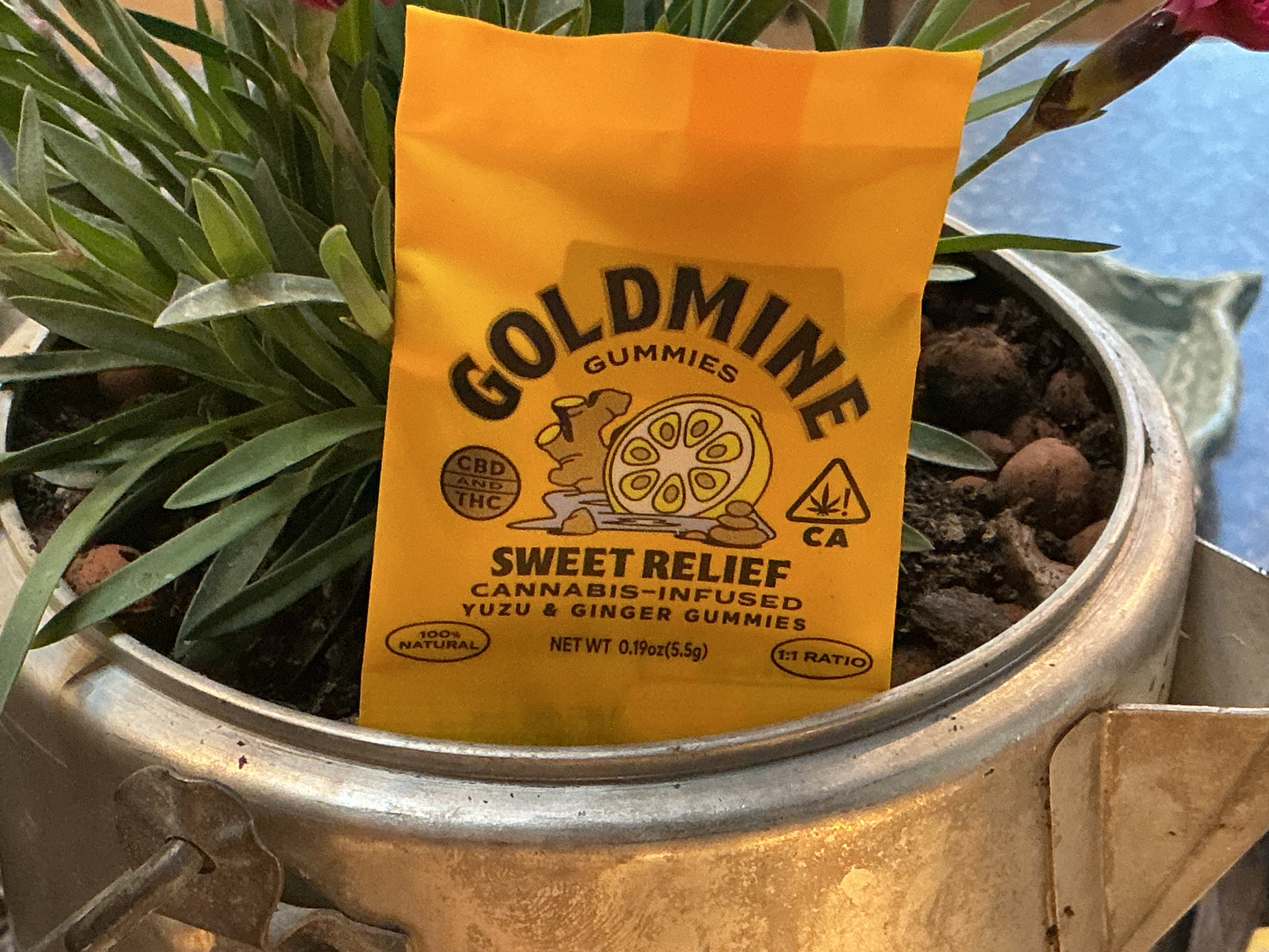 Gold mine Sweet Relief Yuzu & Ginger CBD Gummy 10-Packs (1-1 Ratio, 10 MG THC + 10 MG CBD)