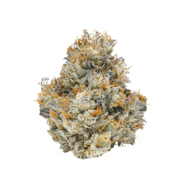 Lemon Cherry Gelato | 3.5g
