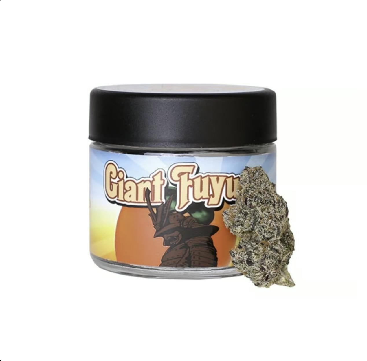 Turtle Pie: Giant Fuyu