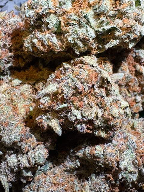 $60 Alien OG 32% THC (AAA-Grade)