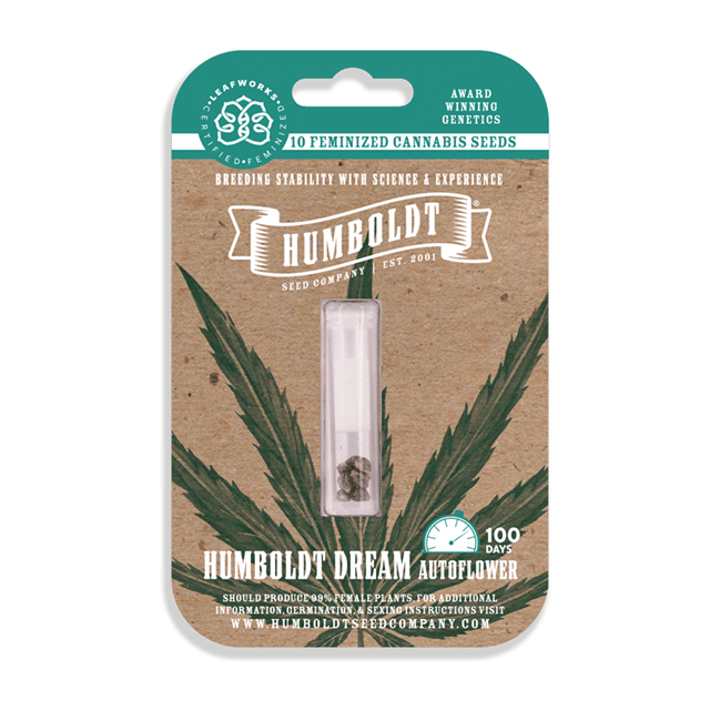 Humboldt Dream Autoflower Feminized Seeds 3pk