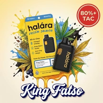 King Fatso Disposable - 1g