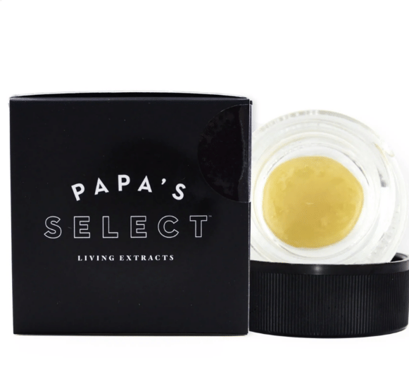 Papa's Select — Terp Town