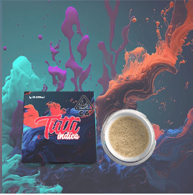 Tutti: Northern Lights