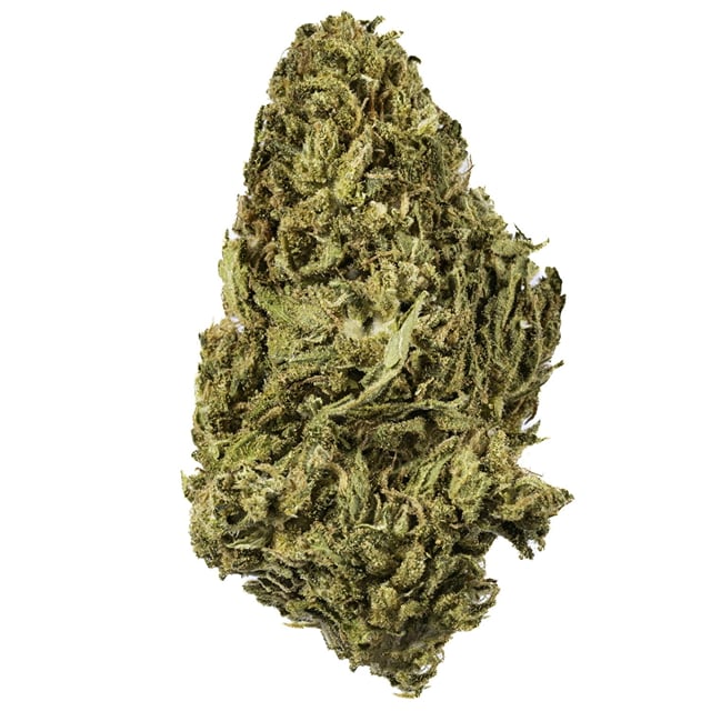 Laughing Gas - 14G Premium Flower